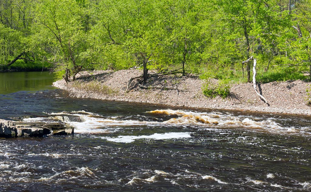Black River paddle trail image