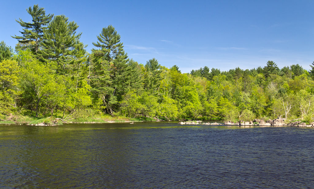 Black River paddle trail image