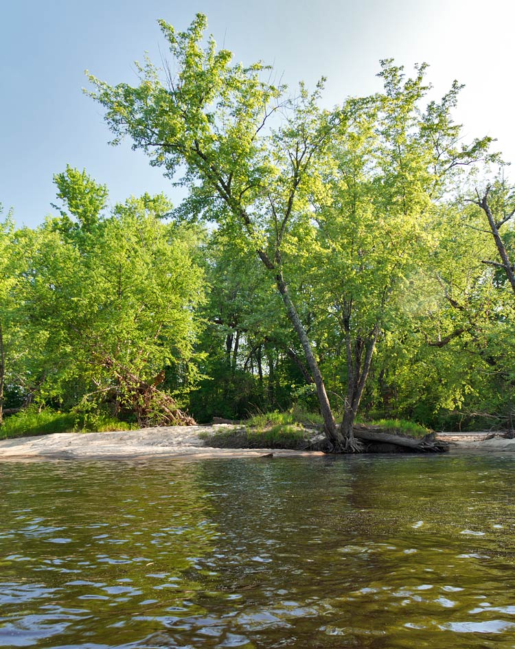 Black River paddle trail image