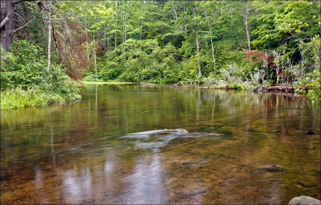 Bois Brule River paddle trail image