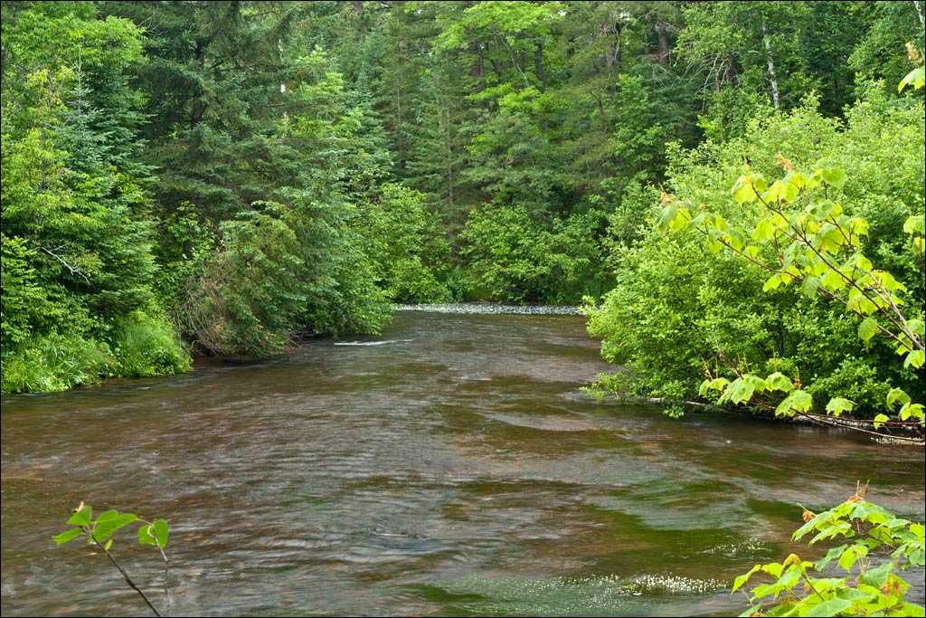 Bois Brule River paddle trail image
