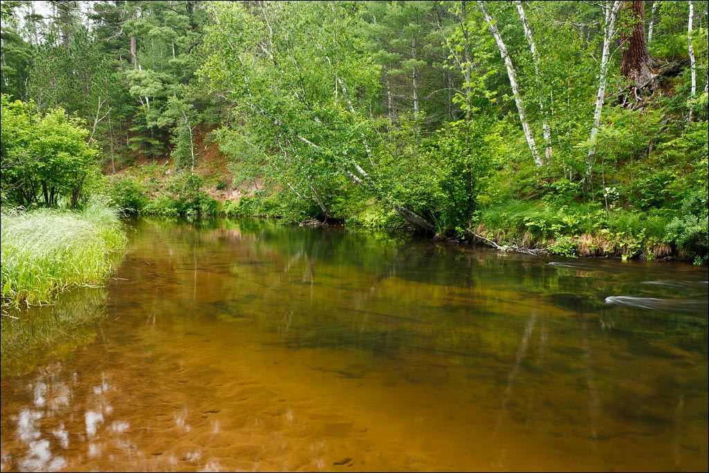 Bois Brule River paddle trail image