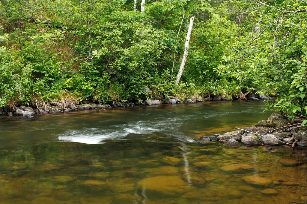 Bois Brule River paddle trail image