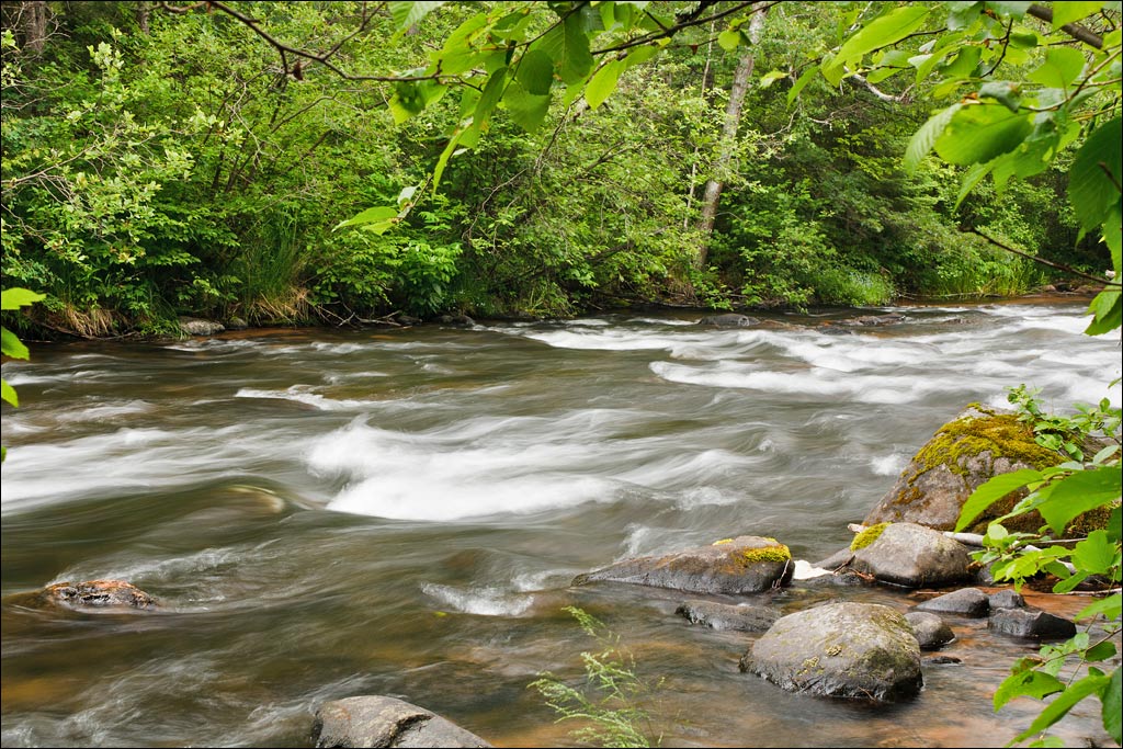 Bois Brule River paddle trail image
