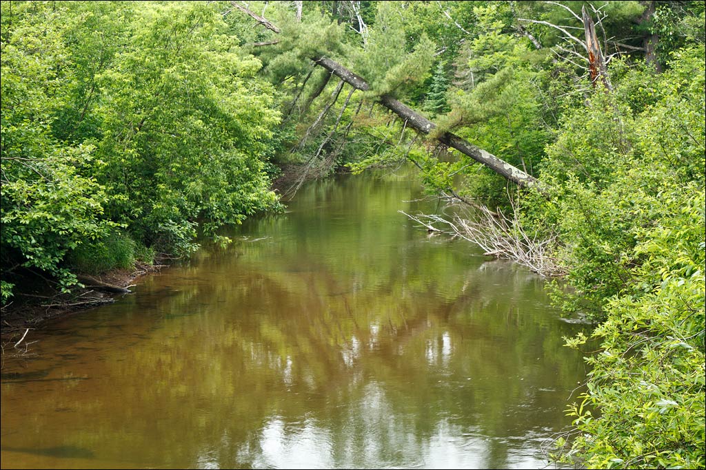 Bois Brule River paddle trail image