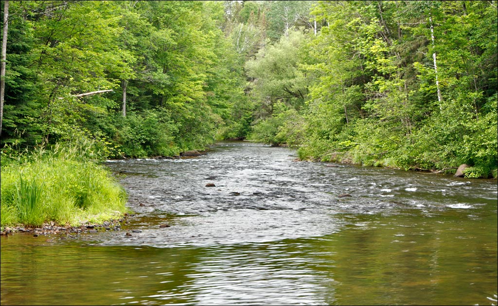 Bois Brule River paddle trail image