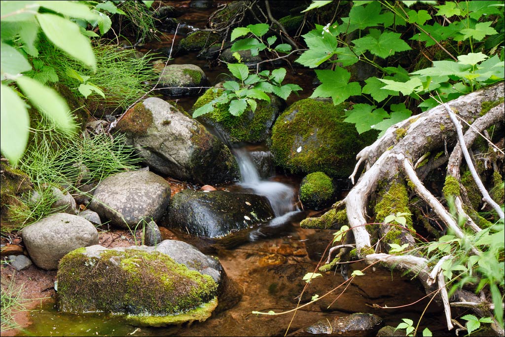 Bois Brule River paddle trail image