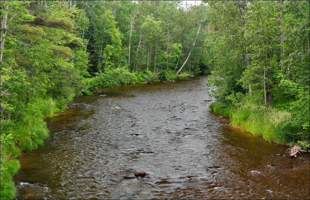 Bois Brule River paddle trail image