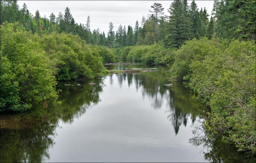 Bois Brule River paddle trail image