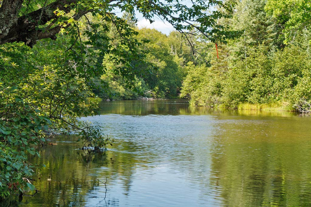 Brule River paddle trail image