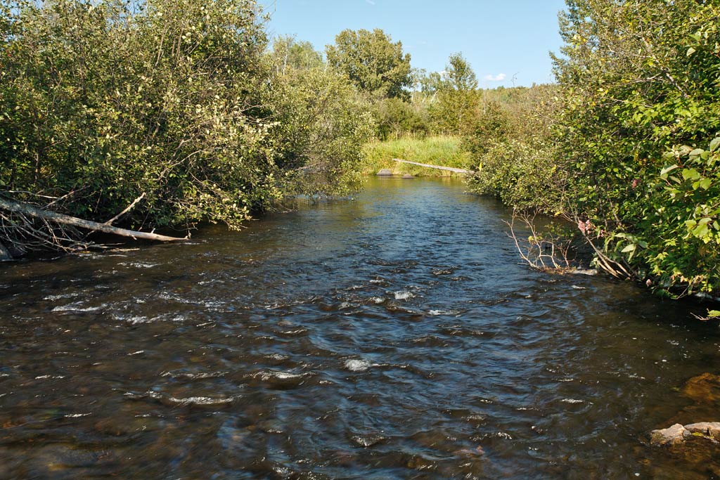 Brule River paddle trail image
