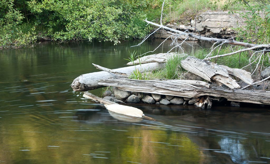Brule River paddle trail image