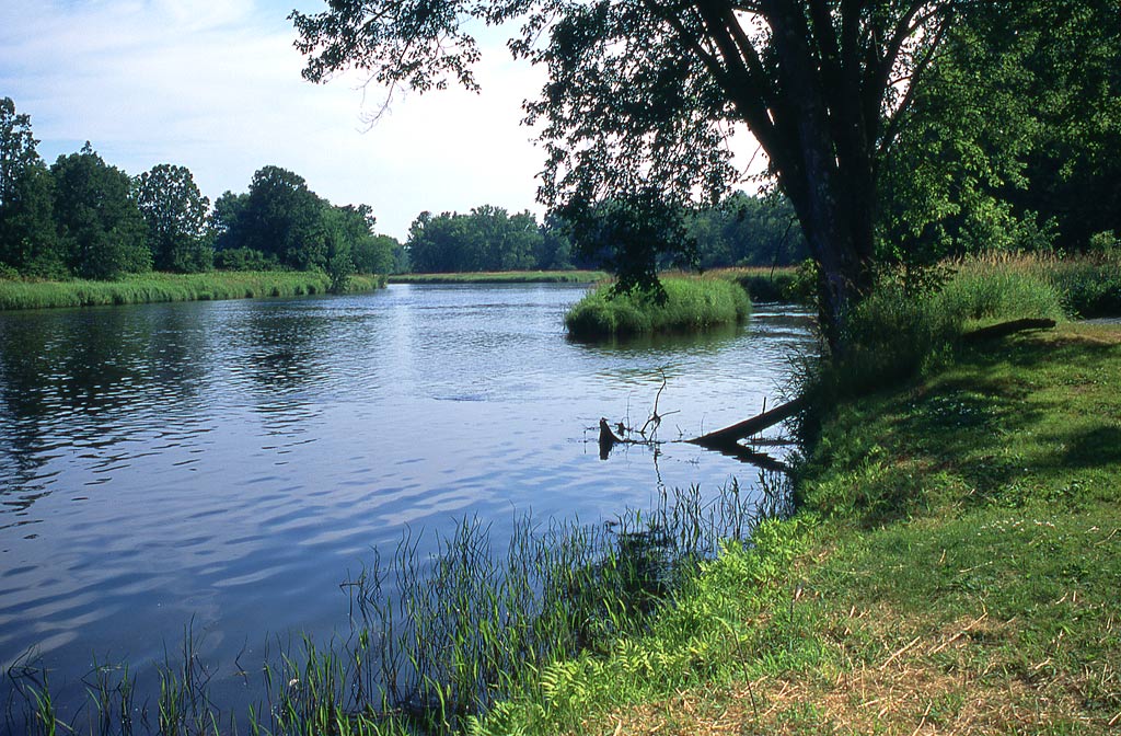 Chippewa River paddle trail image