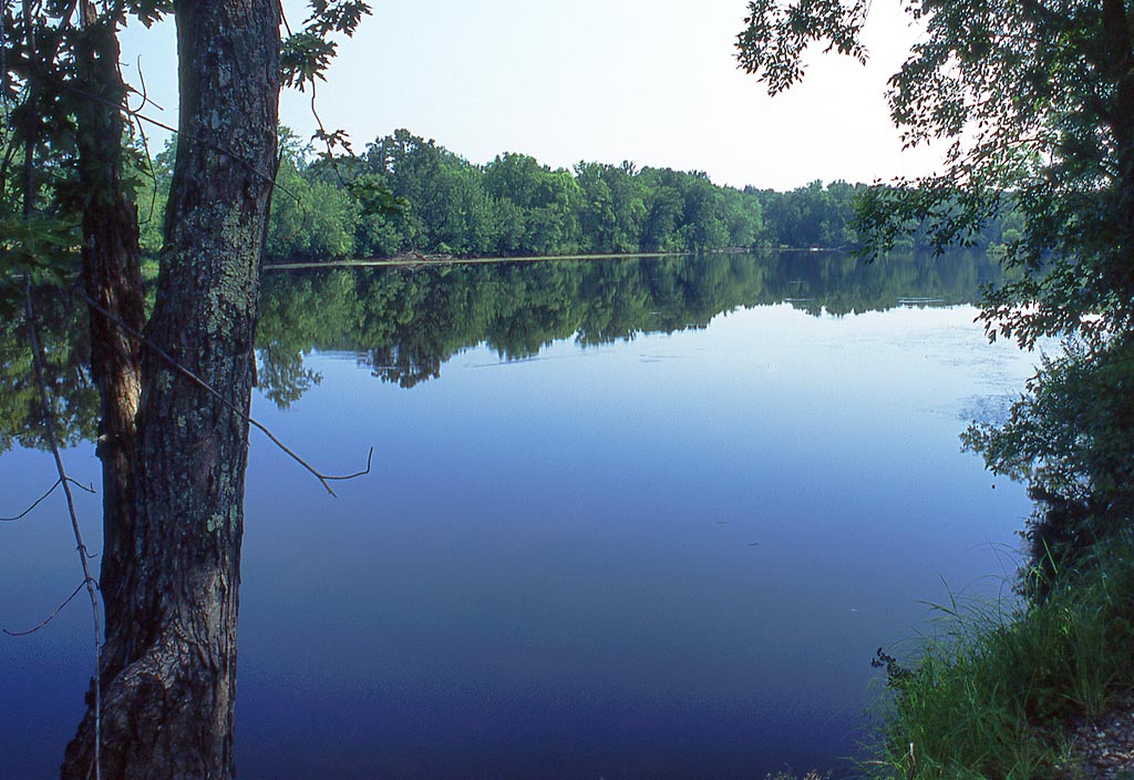 Chippewa River paddle trail image
