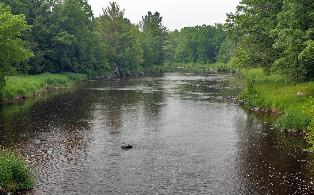 Eau Claire River Paddle Trail Image