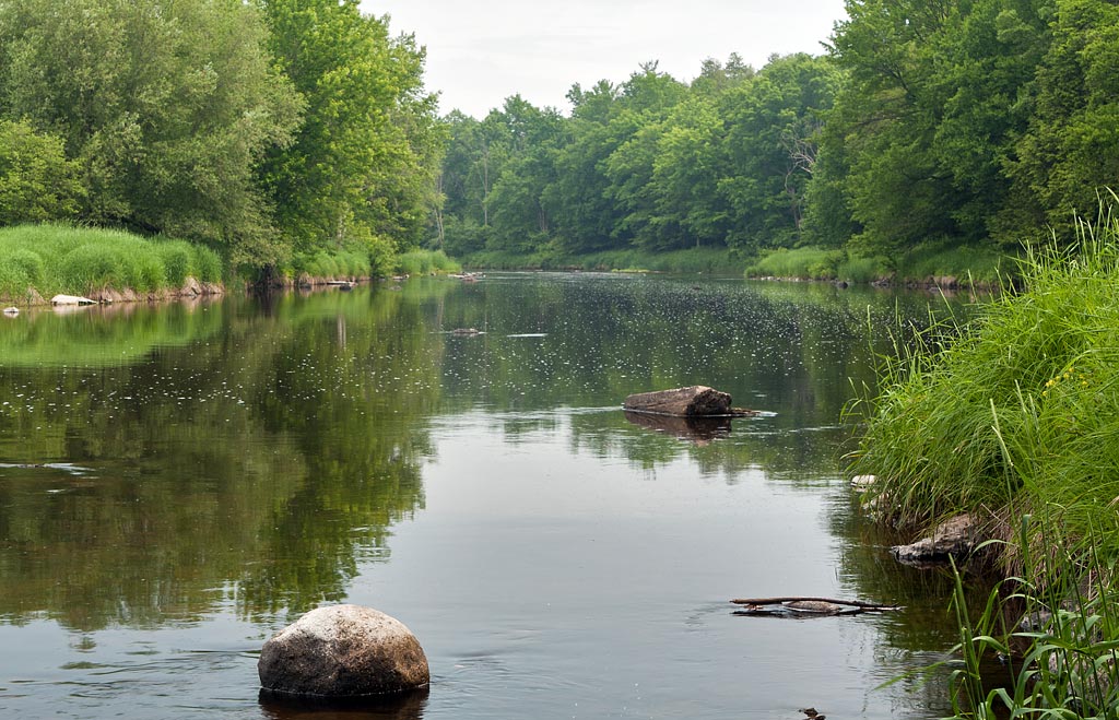 Eau Claire River Paddle Trail Image
