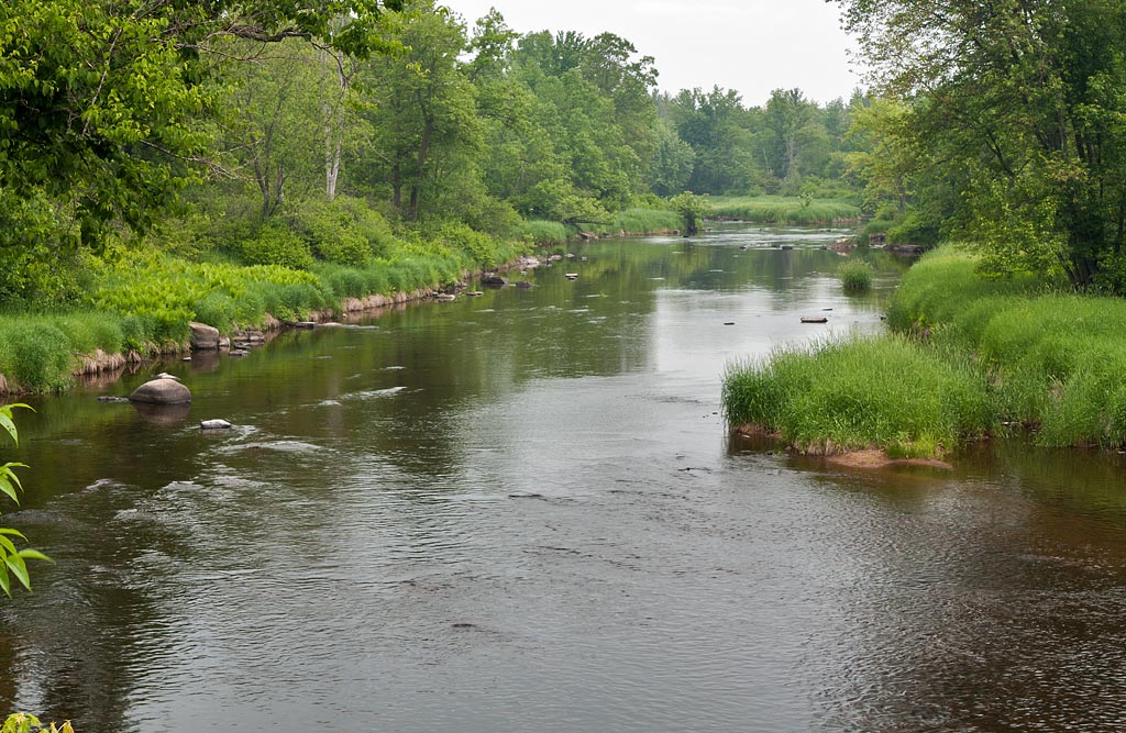 Eau Claire River Paddle Trail Image