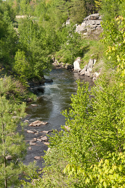 Eau Claire River Paddle Trail Image