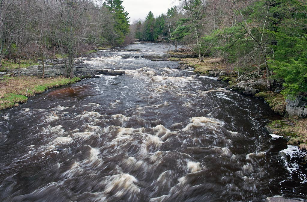 Eau Claire River Paddle Trail Image