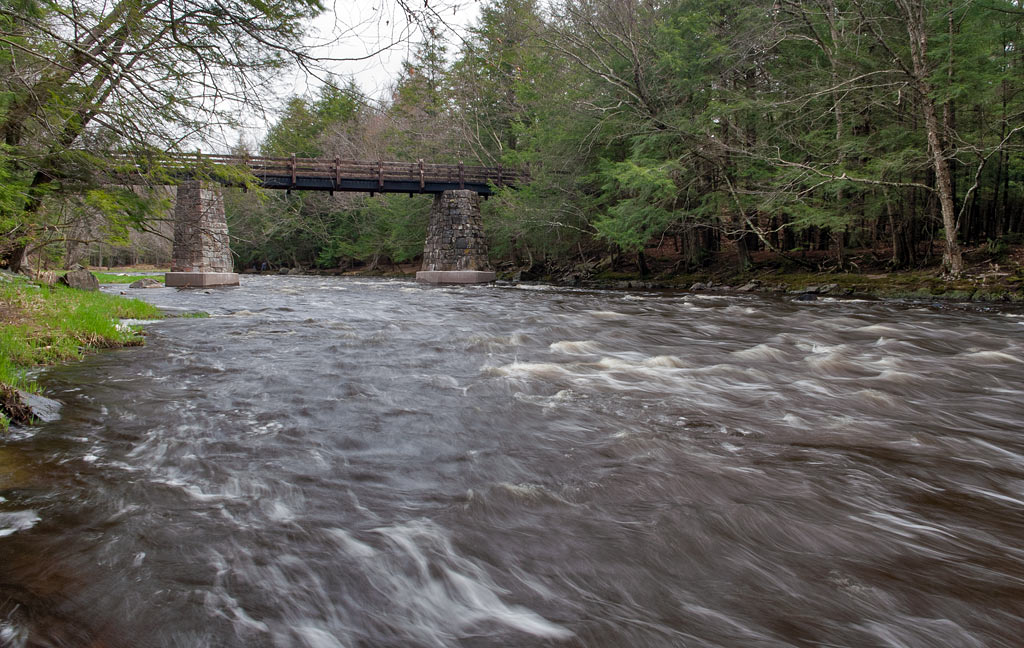 Eau Claire River Paddle Trail Image