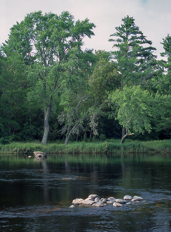 Flambeau River paddle trail image