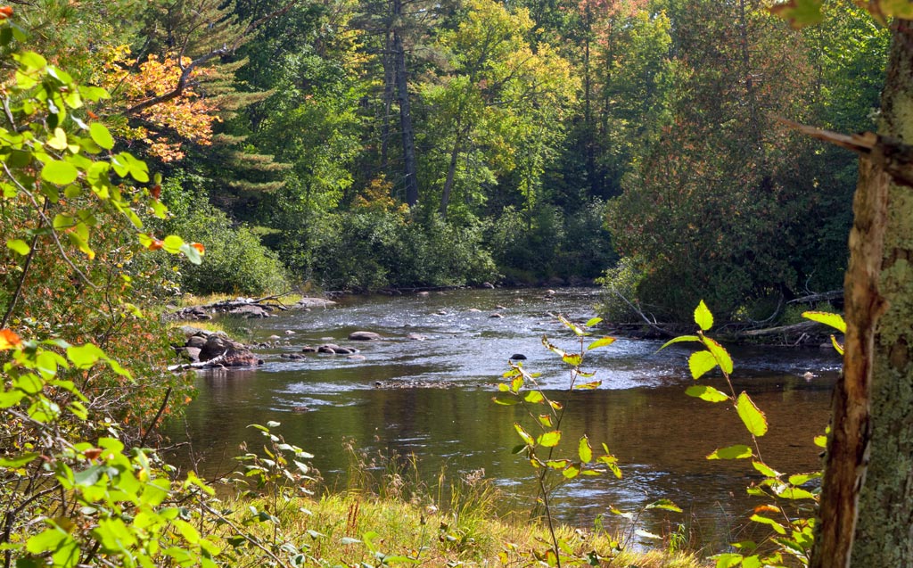 Manitowish River paddle trail image