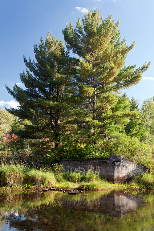 Manitowish River paddle trail image