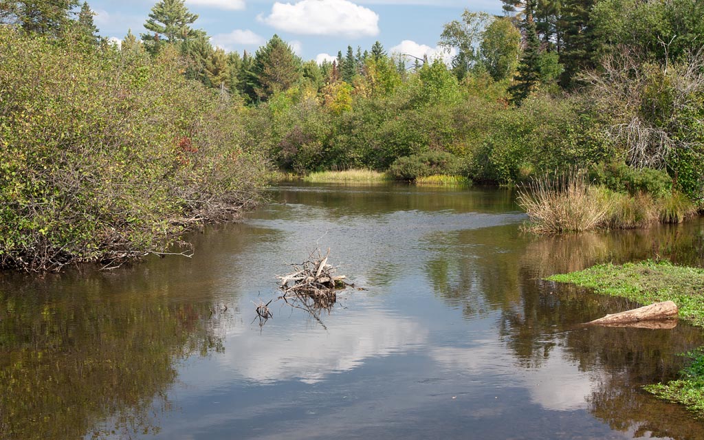 Namekagon River paddle trail image