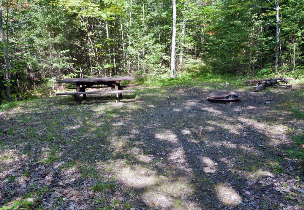 Peshtigo River paddle trail image