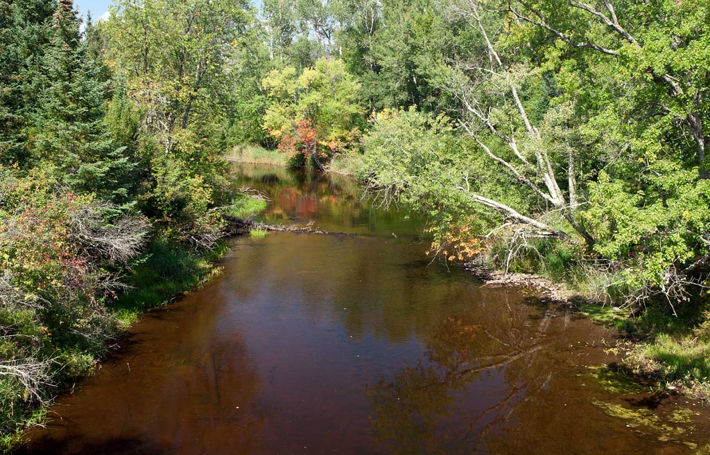 Peshtigo River paddle trail image