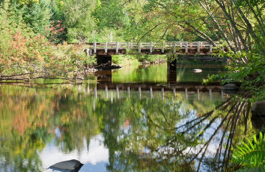 Peshtigo River paddle trail image