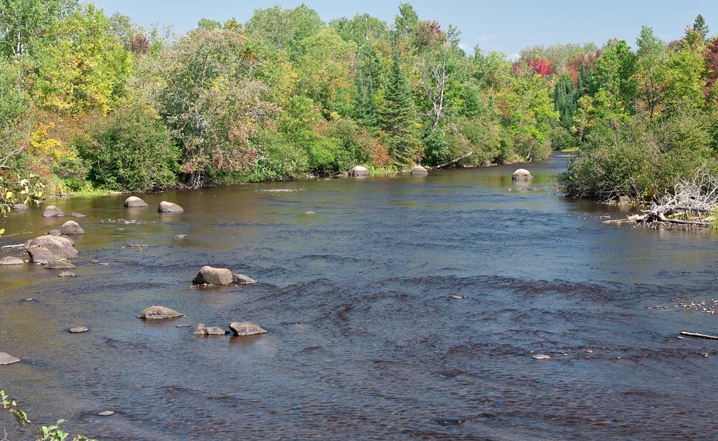 Peshtigo River paddle trail image