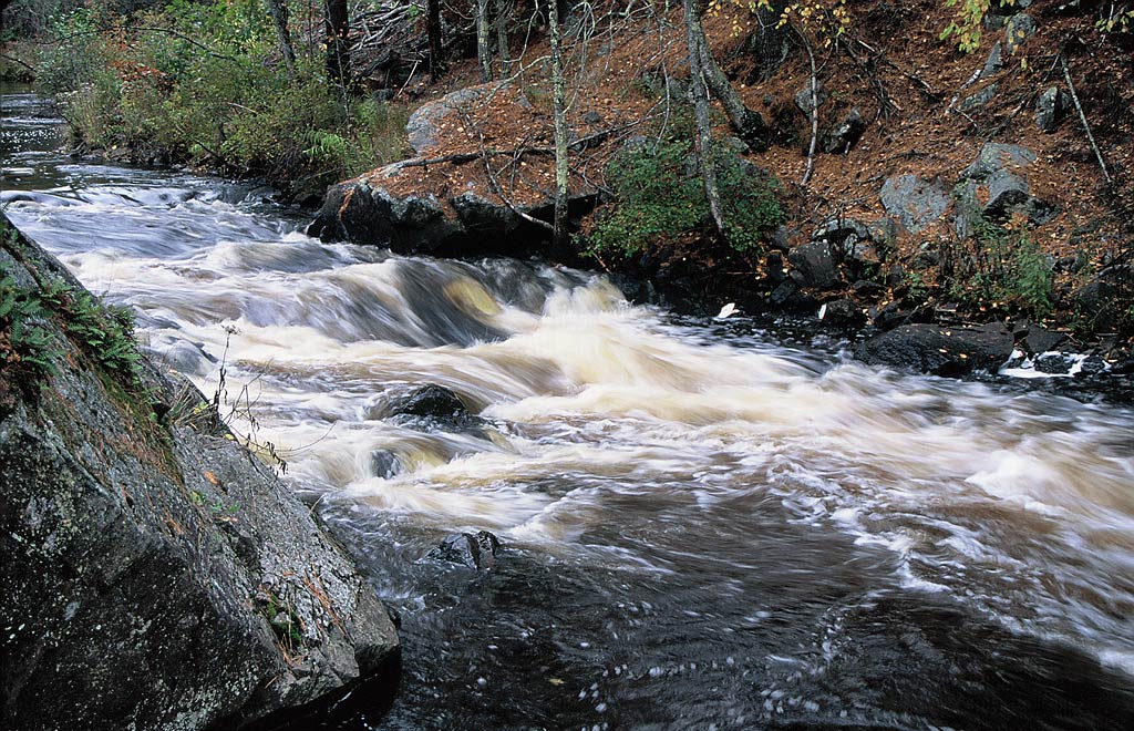 Pike River paddle trail image