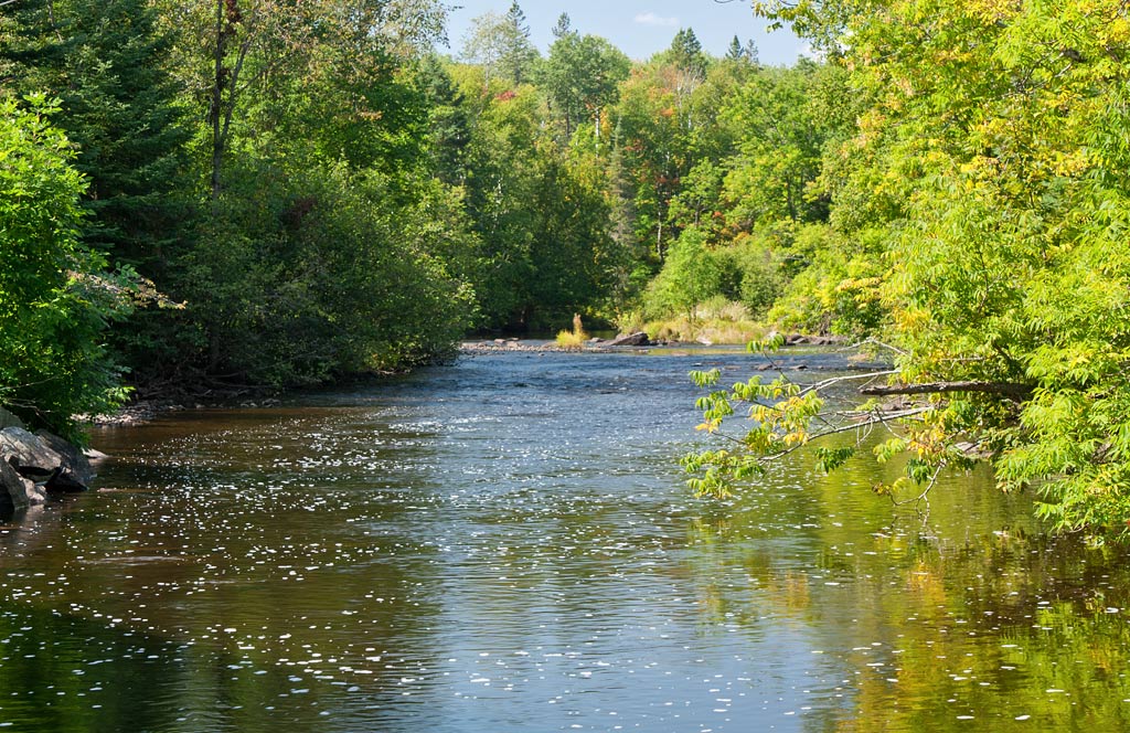 Popple River paddle trail image