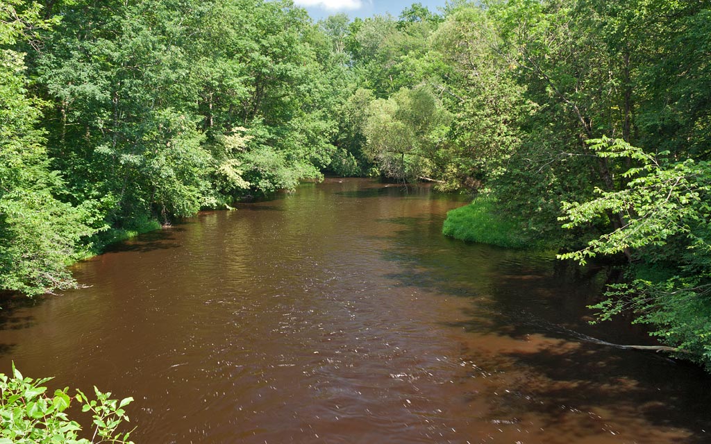 Red River paddle trail image