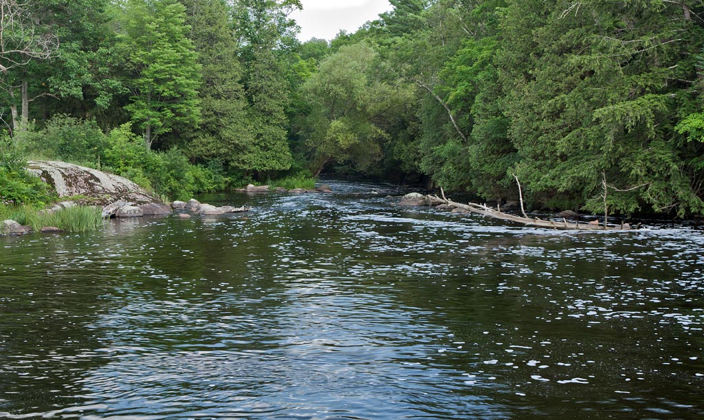 Red River paddle trail image