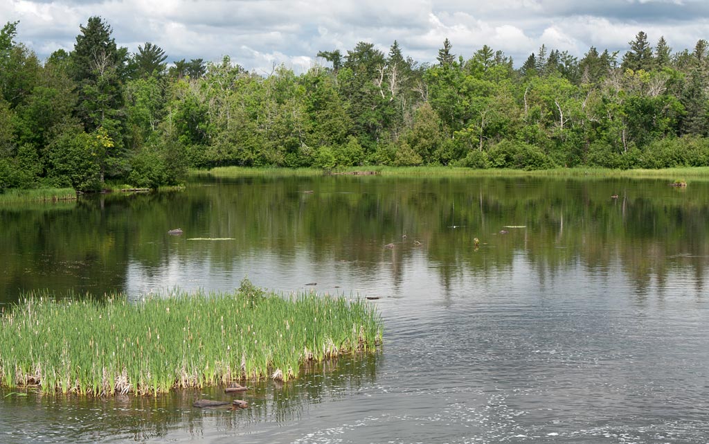 St Croix River paddle trail image