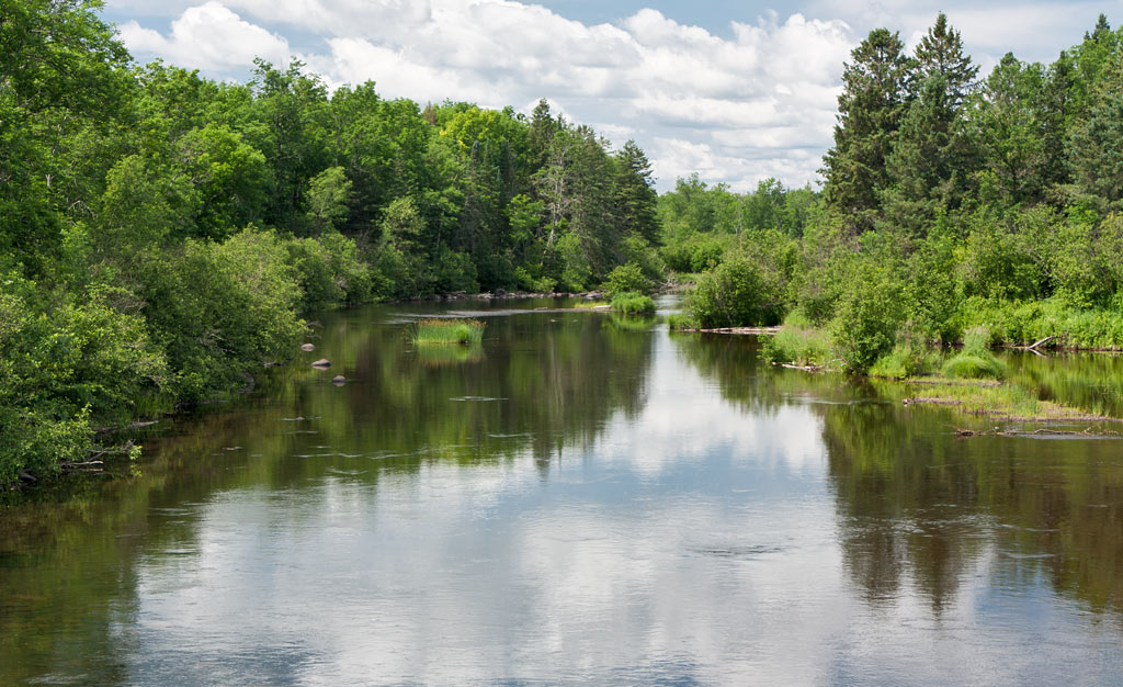 St Croix River paddle trail image