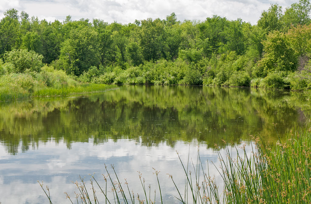 St Croix River paddle trail image