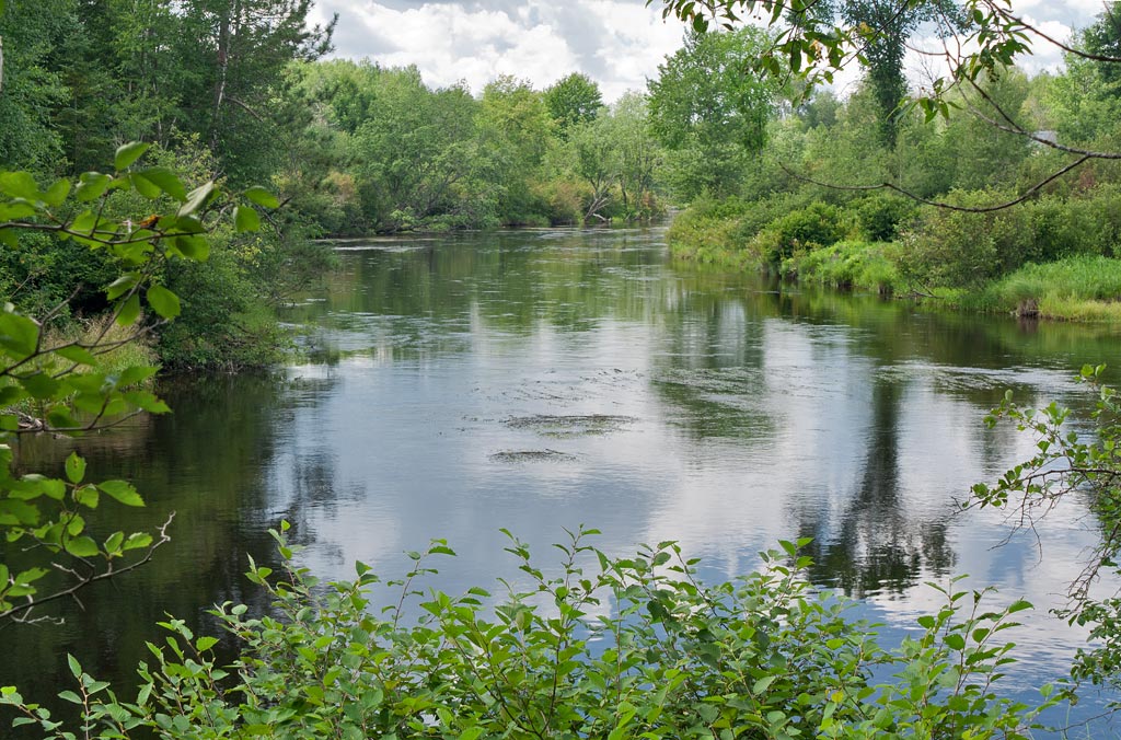 Tomahawk River paddle trail image