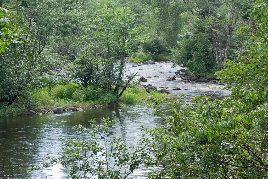 Tomahawk River paddle trail image