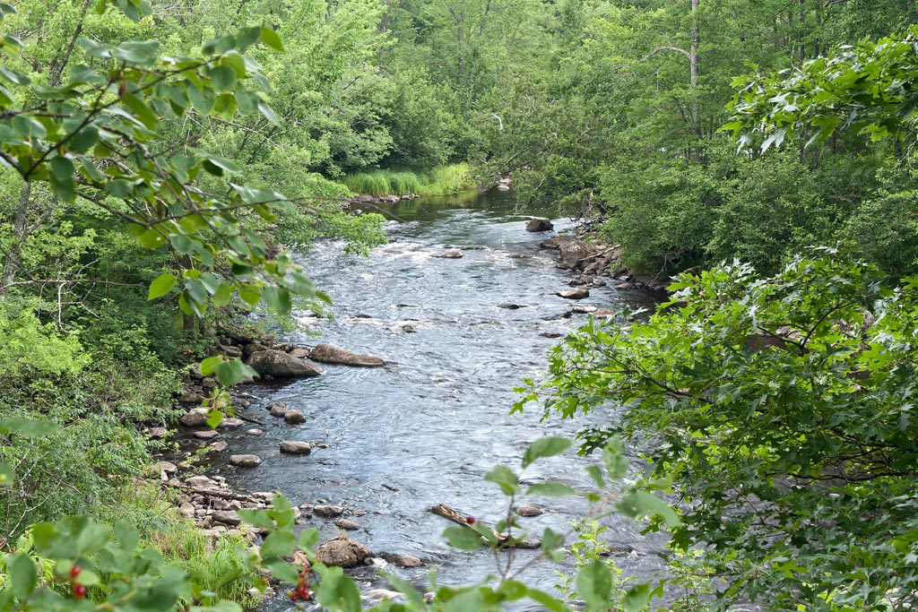 Tomahawk River paddle trail image