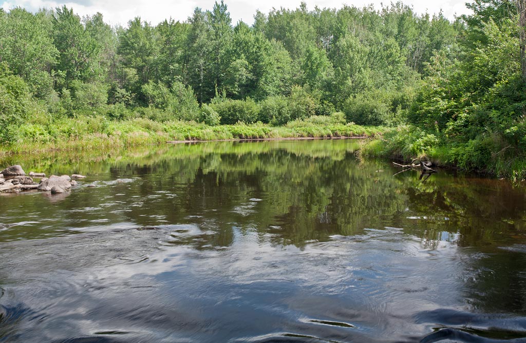 Tomahawk River paddle trail image