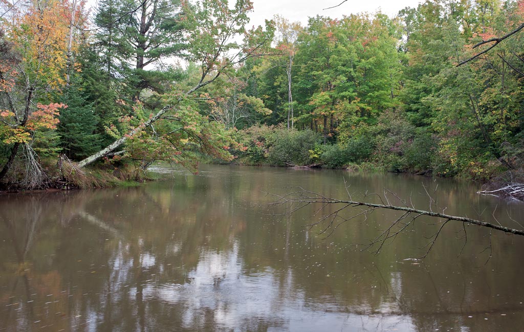 White River paddle trail image