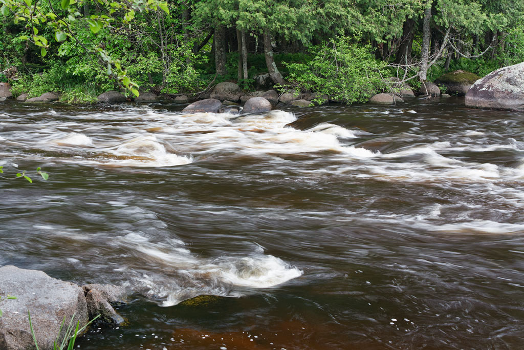 Wolf River paddle trail image