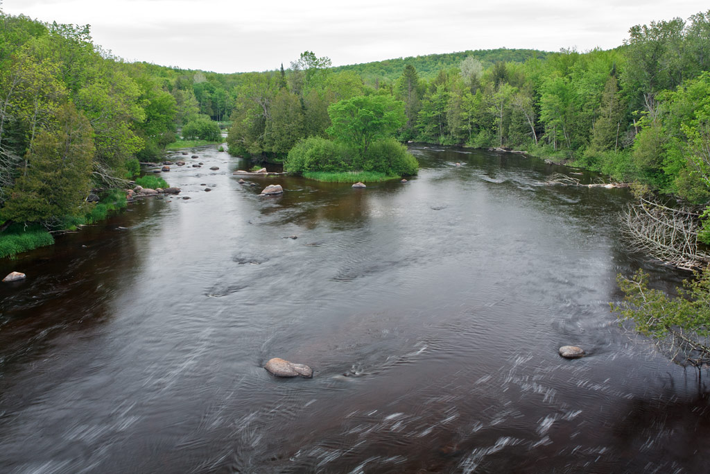 Wolf River paddle trail image