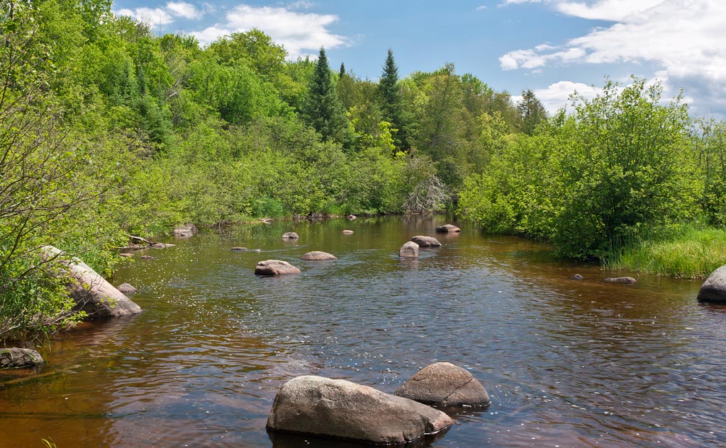 Wolf River paddle trail image
