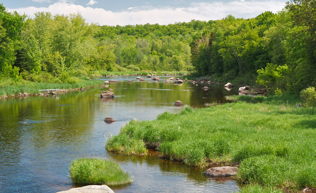 Wolf River paddle trail image