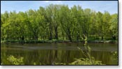 Black River Image