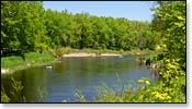 Black River Image